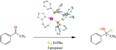 Graphical abstract: Novel hydrido-ruthenium(ii) complexes with histidine derivatives and their application in the hydrogenation of ketones