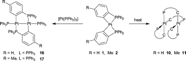 Graphical abstract: ortho-Metallated complexes of platinum(ii) and diplatinum(i) containing the carbanions (2-diphenylphosphino)phenyl and (2-diphenylphosphino)-n-tolyl (n = 5, 6)