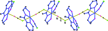 Graphical abstract: The first metamagnetic thiocyanato-bridged one-dimensional nickel(ii) complex
