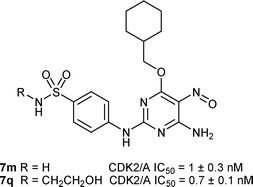 Graphical abstract: Structure-based design of 2-arylamino-4-cyclohexylmethoxy-5-nitroso-6-aminopyrimidine inhibitors of cyclin-dependent kinase 2