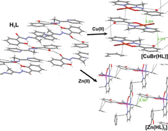 Graphical abstract: Synthesis and structure of 2-acetylpyridine-salicyloylhydrazone and its copper(ii) and zinc(ii) complexes. The effect of the metal coordination on the weak intermolecular interactions
