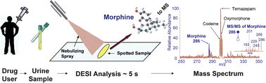 Graphical abstract: Rapid analysis of metabolites and drugs of abuse from urine samples by desorption electrospray ionization-mass spectrometry