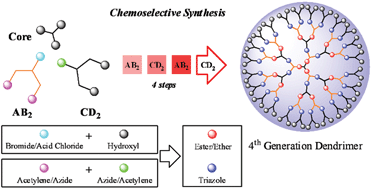 Graphical abstract: A chemoselective approach for the accelerated synthesis of well-defined dendritic architectures