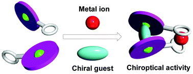 Graphical abstract: Chirality induction in a cation-driven assembly using a crowned metalloporphyrin