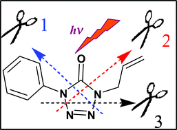 Graphical abstract: UV-induced photochemistry of matrix-isolated 1-phenyl-4-allyl-tetrazolone