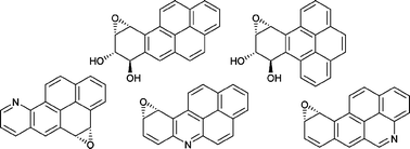 Graphical abstract: Oxidized metabolites from benzo[a]pyrene, benzo[e]pyrene, and aza-benzo[a]pyrenes. A computational study of their carbocations formed by epoxide ring opening reactions