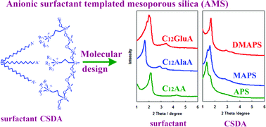 Graphical abstract: Molecular design of the surfactant and the co-structure-directing agent (CSDA) toward rational synthesis of targeted anionic surfactant templated mesoporous silica