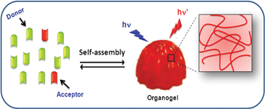 Graphical abstract: Organogels as scaffolds for excitation energy transfer and light harvesting