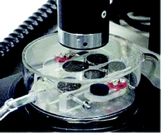 Graphical abstract: Application of laser ablation inductively coupled plasma mass spectrometry (LA-ICP-MS) for the investigation of ancient silver coins
