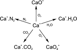 Graphical abstract: A kinetic study of the reactions of Ca+ ions with O3, O2, N2, CO2 and H2O