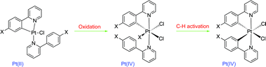 Graphical abstract: Cyclometallated platinum(ii) complexes: oxidation to, and C–H activation by, platinum(iv)