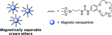 Graphical abstract: Magnetic nanoparticle-supported crown ethers