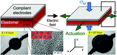 Graphical abstract: Dielectric elastomers as next-generation polymeric actuators
