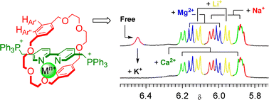 Graphical abstract: A [2]rotaxane-based 1H NMR spectroscopic probe for the simultaneous identification of physiologically important metal ions in solution