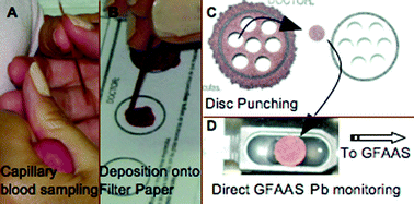 Graphical abstract: Minimally-invasive filter paper test in combination with solid sampling-graphite furnace atomic absorption spectrometry for Pb determination in whole blood