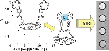 Graphical abstract: Novel 15-crown-5 ether or β-diketone incorporated gadolinium complexes for the detection of potassium ions or magnesium and calcium ions