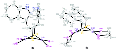 Graphical abstract: Stable diplatinum complexes with functional thiolato bridges from dialkylation of [Pt2(μ-S)2(P–P)2] [P–P = 2 × PPh3, Ph2P(CH2)3PPh2]