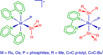 Graphical abstract: Preparation of stannyl complexes of ruthenium and osmium stabilised by polypyridine and phosphite ligands
