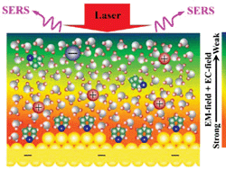Graphical abstract: Electrochemical surface-enhanced Raman spectroscopy of nanostructures