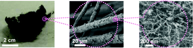 Graphical abstract: Immobilization of nanofibrous metal oxides on microfibers: A macrostructured catalyst system functionalized with nanoscale fibrous metal oxides