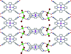 Graphical abstract: Heterobimetallic coordination networks based on metallaporphyrins bearing four pyridine N-oxide groups as coordinating sites