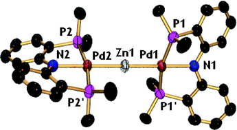 Graphical abstract: Covalent palladium–zinc bonds and their reactivity