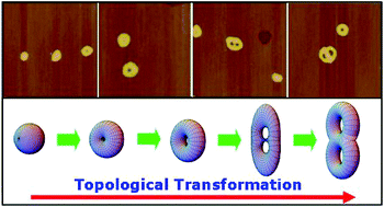 Graphical abstract: Topological transformation of aggregates formed by an amphiphilic and truncated-cone-shaped codendrimer
