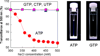 Graphical abstract: Turbidimetric detection of ATP using polymeric micelles and DNA aptamers