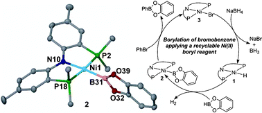 Graphical abstract: Structural elucidation of a nickel boryl complex. A recyclable borylation Ni(ii) reagent of bromobenzene