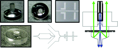 Graphical abstract: An integrated optics microfluidic device for detecting single DNA molecules
