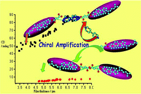 Graphical abstract: Matrix-molecule induced chiral enhancement effect of binary supramolecular liquid crystals