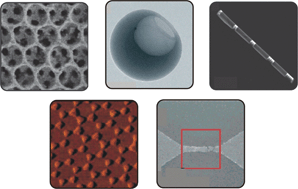 Graphical abstract: Rationally designed nanostructures for surface-enhanced Raman spectroscopy