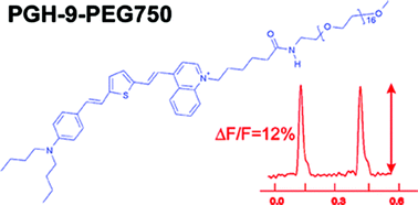 Graphical abstract: Enhanced aqueous solubility of long wavelength voltage-sensitive dyes by covalent attachment of polyethylene glycol