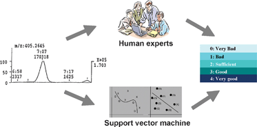 Graphical abstract: Qualitative evaluation of chromatographic data from quality control schemes using a support vector machine