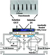 Graphical abstract: Monitoring FET flow control and wall adsorption of charged fluorescent dye molecules in nanochannels integrated into a multiple internal reflection infrared waveguide