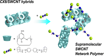 Graphical abstract: Supramolecular single-walled carbon nanotubes (SWCNTs) network polymer made by hybrids of SWCNTs and water-soluble calix[8]arenes