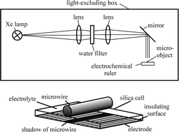 Graphical abstract: Photoelectrochemical ruler: measurement at the micron scale
