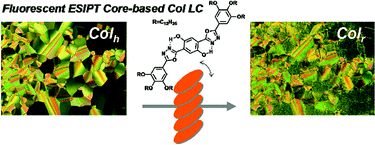 Graphical abstract: Highly fluorescent columnar liquid crystals with elliptical molecular shape: oblique molecular stacking and excited-state intramolecular proton-transfer fluorescence