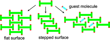 Graphical abstract: Template-directed supramolecular self-assembly of coordination dumbbells at surfaces