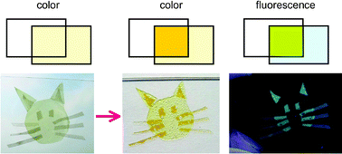 Graphical abstract: Optodynamers: expression of color and fluorescence at the interface between two films of different dynamic polymers