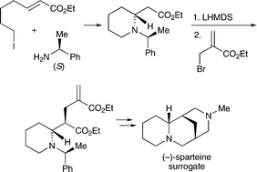 Graphical abstract: Stereocontrolled synthesis and alkylation of cyclic β-amino esters: asymmetric synthesis of a (−)-sparteine surrogate