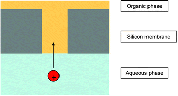 Graphical abstract: Ion-transfer voltammetry at silicon membrane-based arrays of micro-liquid–liquid interfaces