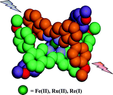 Graphical abstract: Fe(ii), Ru(ii) and Re(i) complexes of endotopic, sterically non-hindering, U-shaped 8,8′-disubstituted-3,3′-biisoquinoline ligands: syntheses and spectroscopic properties