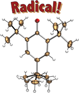 Graphical abstract: The first crystal structure of a monomeric phenoxyl radical: 2,4,6-tri-tert-butylphenoxyl radical