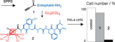 Graphical abstract: Synthesis and cytotoxicity of a cobaltcarbonyl–alkyne enkephalin bioconjugate