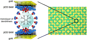 Graphical abstract: Preparation of metal–SAM–dendrimer–SAM–metal junctions by supramolecular metal transfer printing