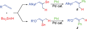 Graphical abstract: Regio- and stereoselective hydrostannation of allenes using dibutyliodotin hydride (Bu2SnIH) and successive coupling with aromatic halides