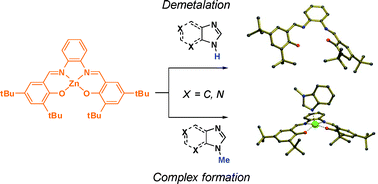 Graphical abstract: Autocatalytic demetalation of a Zn(salphen) complex provoked by unprotected N-heterocycles