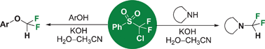 Graphical abstract: Chlorodifluoromethyl phenyl sulfone: a novel non-ozone-depleting substance-based difluorocarbene reagent for O- and N-difluoromethylations