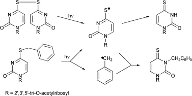 Graphical abstract: Photochemical reactions of 4-thiouridine disulfide and 4-benzylthiouridine—the involvement of the 4-pyrimidinylthiyl radical